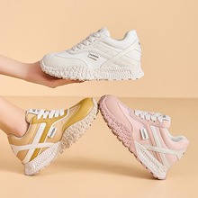 2025¿׵ӖЬŮٰЬϵЬŮЬ\eЬ