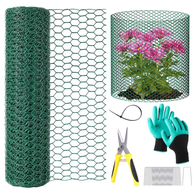 植物保护器户外植物笼带地桩和尼龙扎带的六角铁丝网罩