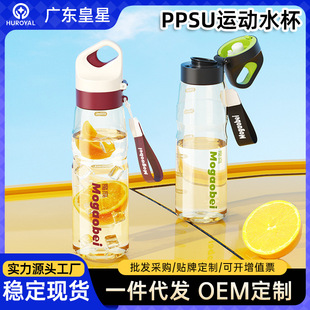 PPSUˮ����©��ˤ�������������ܱ��������W���\�ӌW����S���l