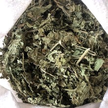 批发芙蓉叶 地芙蓉 芙蓉 山芙蓉 胡李花 三变花 木棉代嚰粉