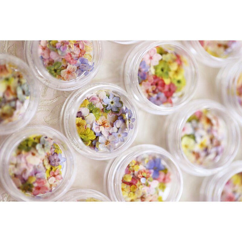 Japanese BLC Nail Art Dried Flower Mixed Color Narcissus 24 Bottled Natural Baffle Nail Decorative Colored Flowers