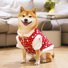 ���������·��^��ϲ�cë�����b�ﶬ�ӽq��ů���R�׌����Ȯ�����b