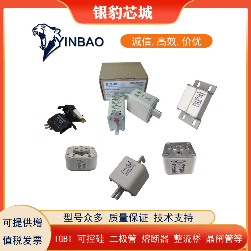 170M4695 170M4696 170M4697 170M5688 170M5689全新熔断器保险丝