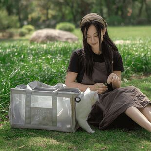 Summer New Breathable Mesh Pet Outing Cat Bag Shoulder Portable Large Capacity Portable Out-And-Out Backpack for Cats and Dogs