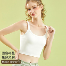 �n���|���Tͬ�������������ăȴʽ�ļ��⴩����Ĩ�ش������