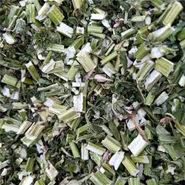 其他滋补;代用/养生茶;其他药食同源