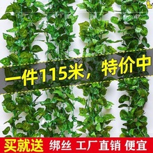 仿真藤条葡萄叶吊顶装饰假花管道缠绕藤蔓爬山虎塑料绿萝花藤叶子