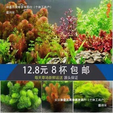 �~���쾰ֲ����B�b����lˮ���ײͲ��oˮ������л��w����ˮ��