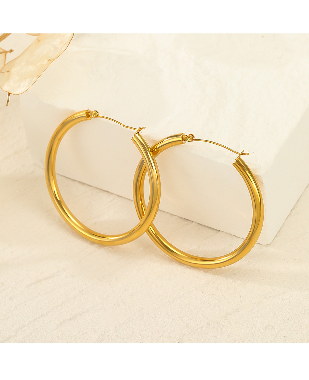 15g Weight Vacuum Plating Gold Plating Process 304 Stainless Steel Ear Needle Material Hoop Earrings Classification 1 Pair Quantity Daily Occasion 304 Stainless Steel Material Solid Color Pattern Women'S Gender Plating Design Simple Style Style 1 Pair Simple Style Solid Color Plating 304 Stainless Steel Stainless Steel Earrings