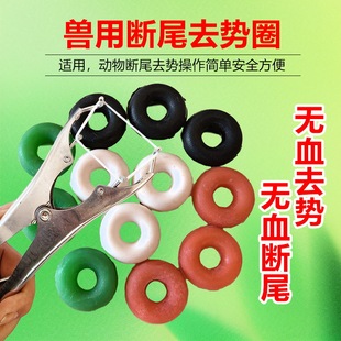 ���Ô�βȦ���P䓔U���Qȥ��Ȧ��β�QС������i���������ëF��