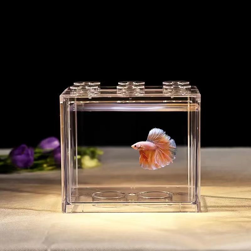 Acuario de Escritorio para Peces Bettas de Vidrio de Borosilicato Transparente para Hogar image 7