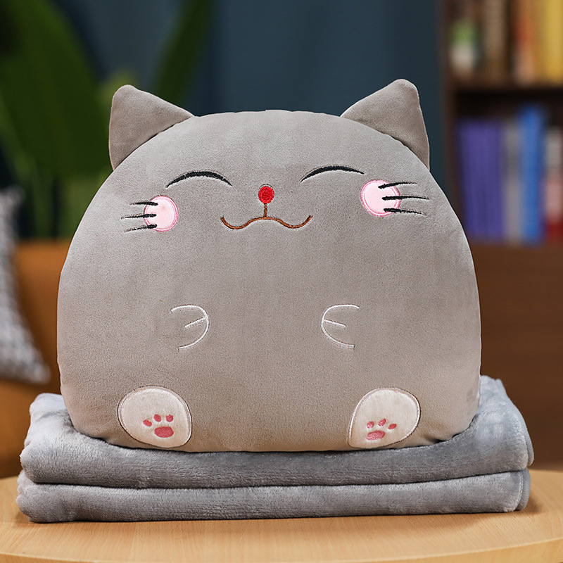 회색 고양이