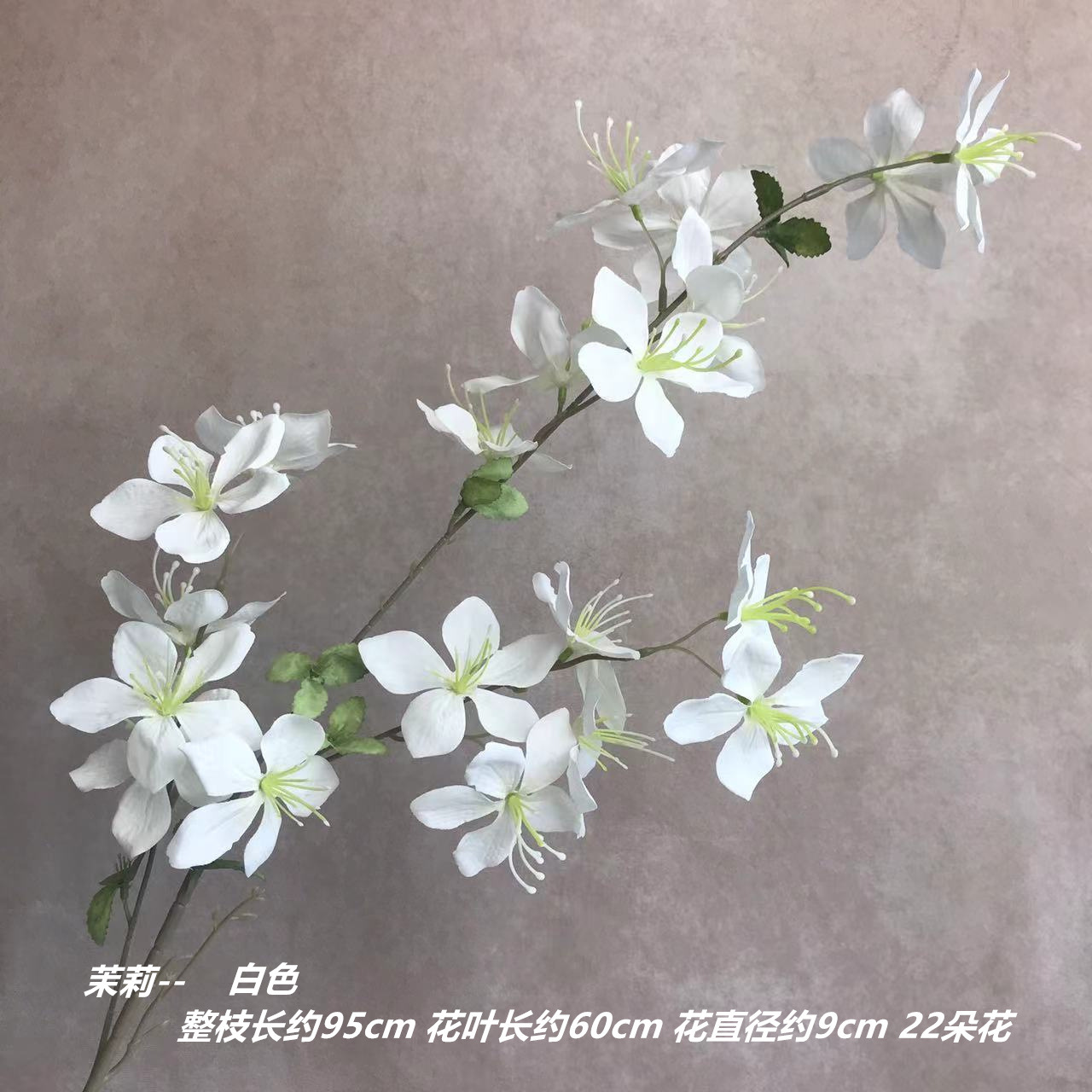 하얀색
