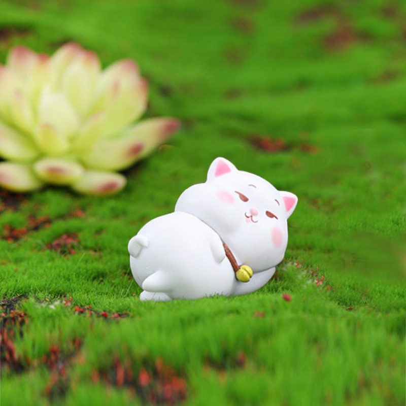 Acuéstate y duerme (belleza para dormir gato)