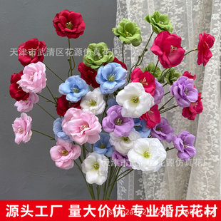 ��c����6�^�u���� ���@�L��Y�������� �Ɍ� �鷿 �������b�