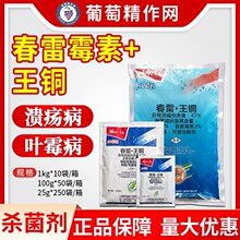 ���� ���Ø�47%�������~����ù�ظ��ٷ����~ù���������rș