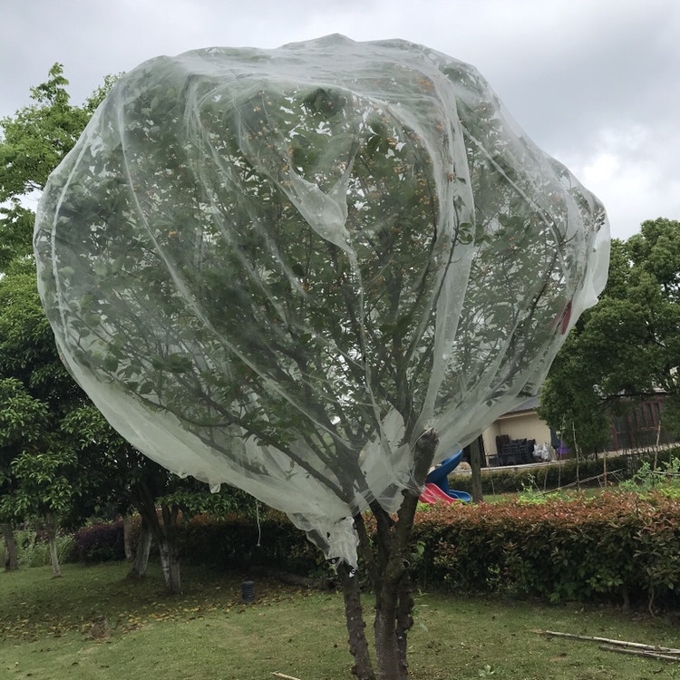 O1CN01Cyd6O51MhveJYNQl9_!!2206