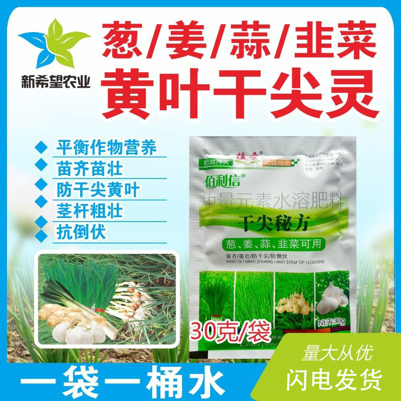 大葱香葱小葱大蒜黄叶干尖灵一喷灵大姜黄姜茎杆粗壮黄叶一喷绿