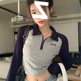 8660# 满天星 已出货 棉210克   92棉8氨纶 美式撞色Polo领长袖