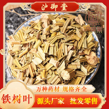 铁树叶段 铁树一叶一斤 初级农产品