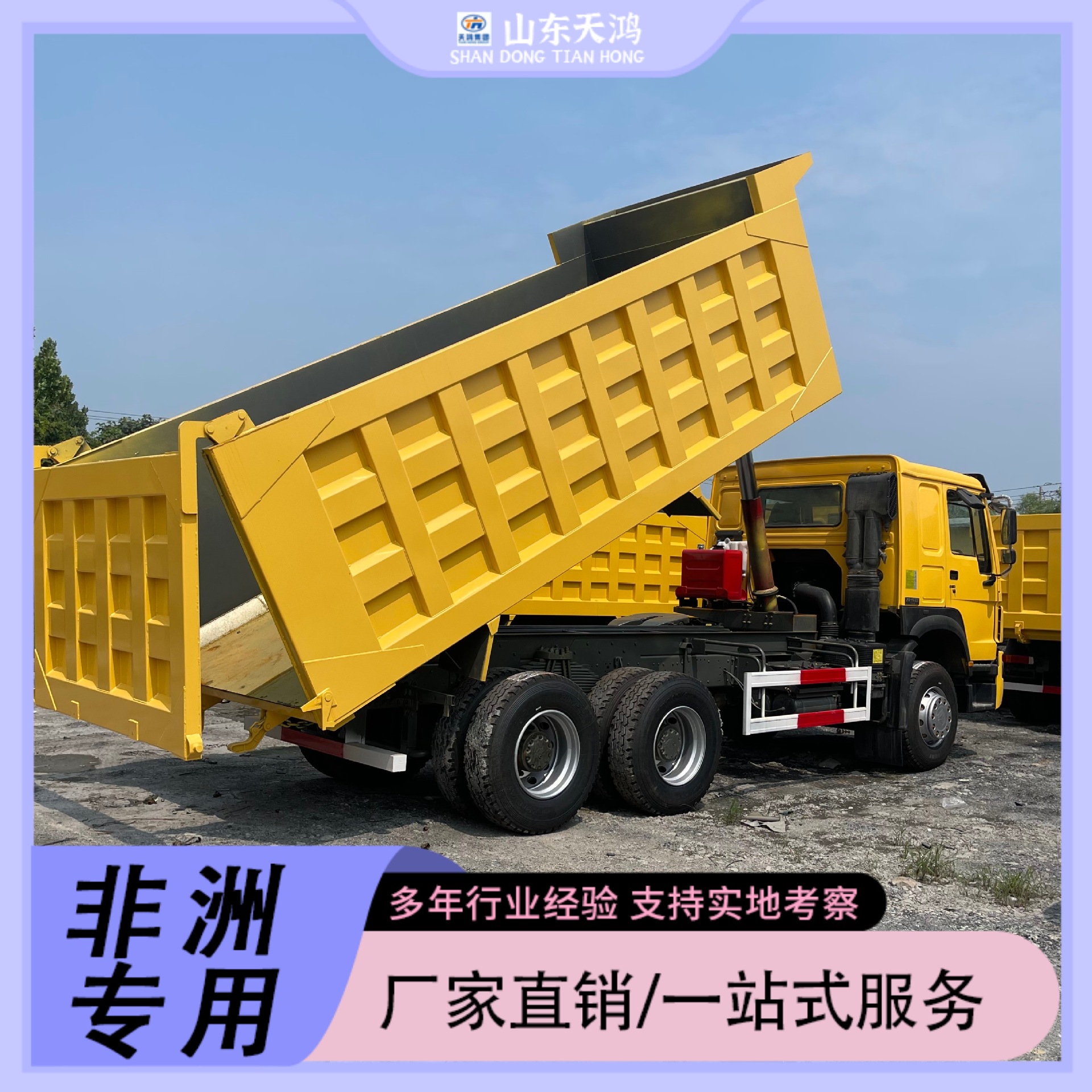 Chinese Heavy-Duty Truck Howo Sinotruk Dump Truck Tractor Truck for Export Direct Sale to Africa Engineering Special Vehicles