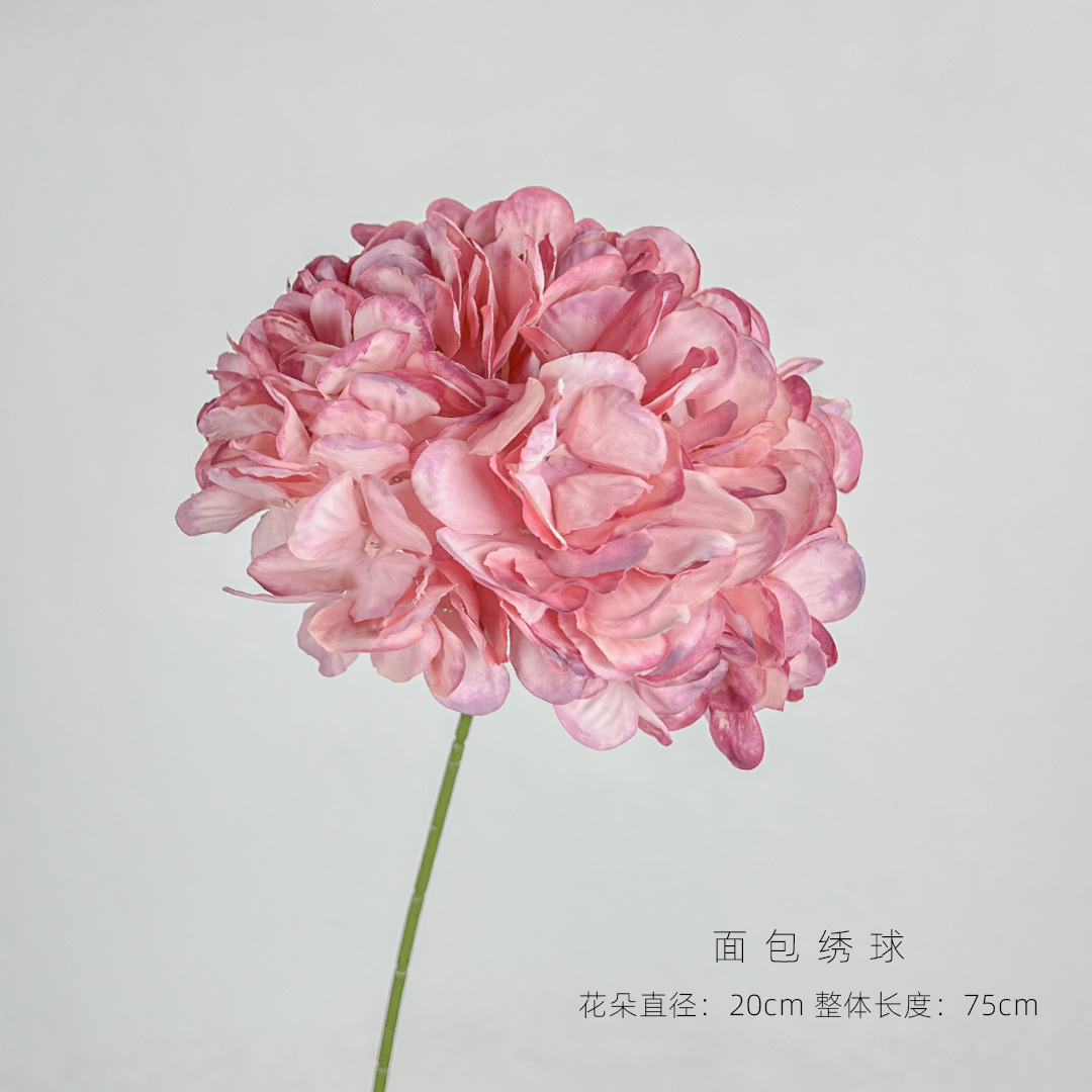 渐变粉.jpg