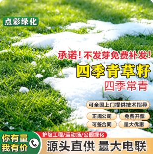�ļ����ƺ�N��ͥԺ�e���G���Ͱ����޼��ļ������������ă�