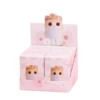 G050-6 Flower and Kitten Blind Box (4)