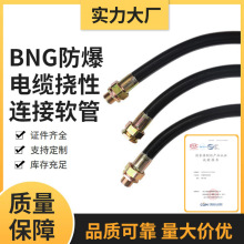 ����BNG������|�������zܛ��4/6�ֽ����B�ӹ�DN15/20��|������