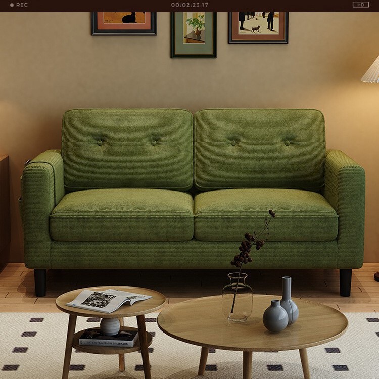 Sofa Living Room 2025 New Small Apartment Fabric Sofa Modern Simple Rental Apartment Double or Three Person Small Sofa