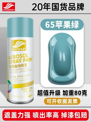 Matte Hand-Shaken Spray Paint Can, Avtomobil boyası - apple-green-450mlbottle