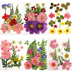 Dried Flower Wholesale Dried Flower Material Bag Real Flower Embossed Flower Leaves Sticker Painting Real Leaf Specimen