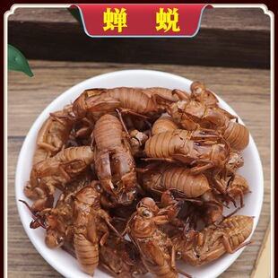 ˮϴ�s͑��ș��֪��Ƥ�s���s���x͑�x�����˺���s�¬F؛250g��