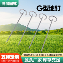 G型地钉镀锌园艺草坪地钉 户外野营天幕固定钉草坪钉防草布钉定制