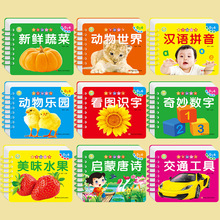 启蒙翻翻书撕不破婴幼儿童宝宝认知早教识字卡片 撕不烂有声伴读