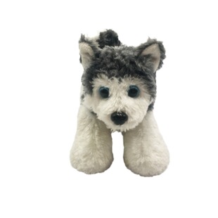 ��ʿ���ë����ͯ�߶�ë�q������u���Q�S�҈D�Ӷ��ƌ��ﹷ��ż