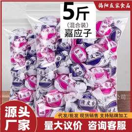 （5斤散称）纸包陈皮梅正嘉应子老式特产梅广东嘉应子蜜饯果脯宗