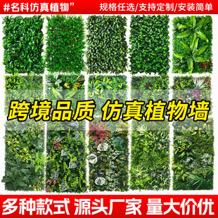 ����ֲ��̈��b���Gֲ����ƺ����羳������������Gֲ����