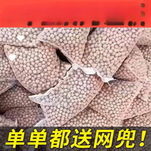 пʯӢ~^Vˮ{׼մɃˮV