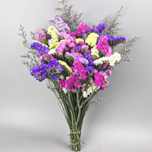 �ɻ����������Ҳ�͏d�[�O�ɻ��滨�b[���r�L����Ȼ�M�����r��