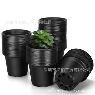 ���������ϻ��� ��ɫС�A�趨ֲ�����������С���莧��͸��ظ�