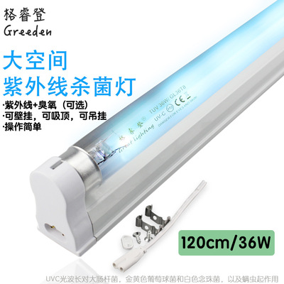 格睿登 T8 36W 1.2m 幼儿园学校房间内消毒灯 UVC紫外线杀菌灯管