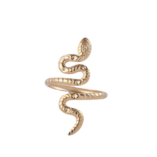 Foreign trade European and American style snake-shaped titanium steel ring that does not fade, niche index finger ring, personalized exaggerated open stainless steel ring