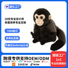 ���޶��Ƅ���@�J���z�������ż����ϵ�й���ë�q��߶���