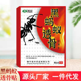 黑蚂蚁骨贴颈椎肩膀腰部疼痛保健贴装家庭通用现货批发透骨贴