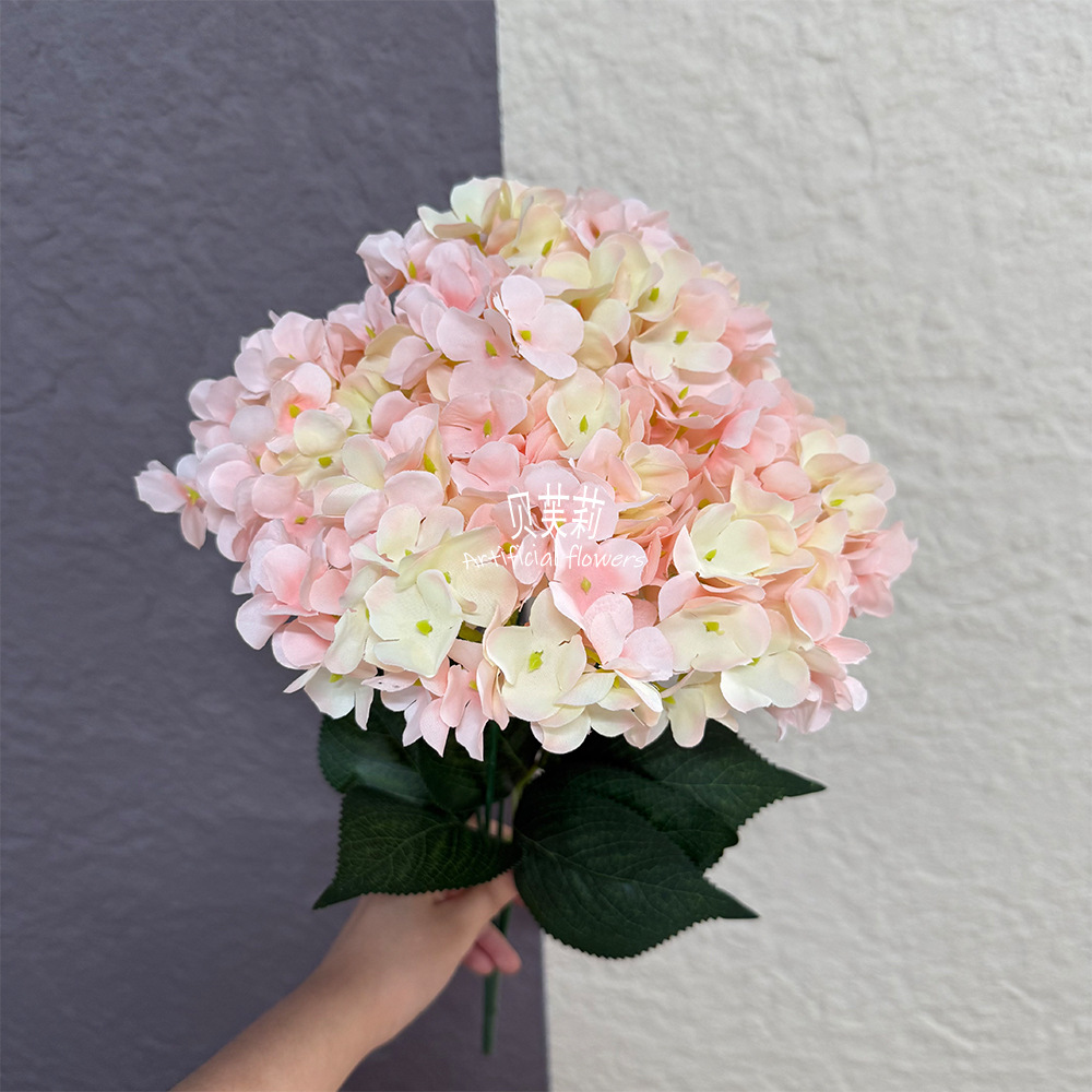 프렌치 플로럴 수국-샴페인 핑크