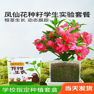 �P�ɻ��N��С�W���ƌW����^�����b��ͯ�NֲС����ֲ��N��ꖹⷿ