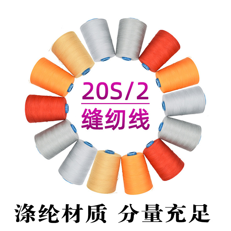 202 굵은 선 - 기타 색상