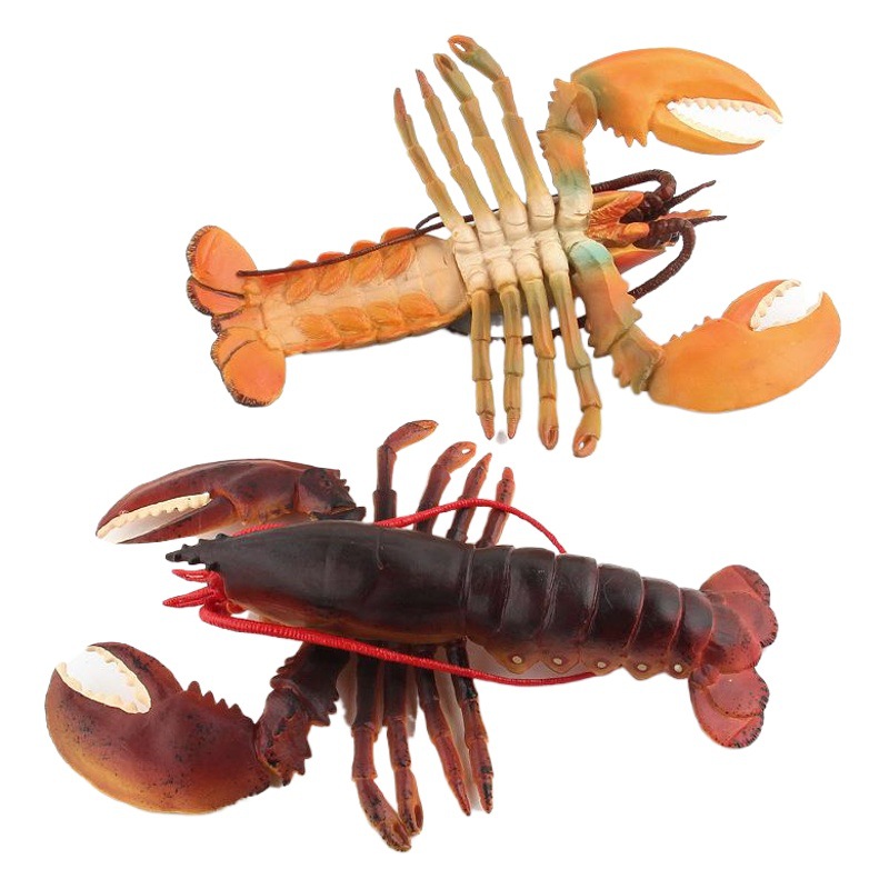 Juguetes de exportación transfronterizos simulación de Vida Marina langosta modelo animal marino submarino juguete muñeca decoración plástico