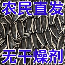 葵花籽农户自发内蒙新鲜原味大颗粒壳新货生瓜子生熟厂家直销炒货